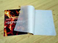 Средство для розжига "БЕРЕСТА"